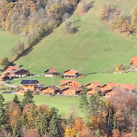 Chalet Park Apartment Mit Sauna Hamam Diemtigen Экстерьер фото