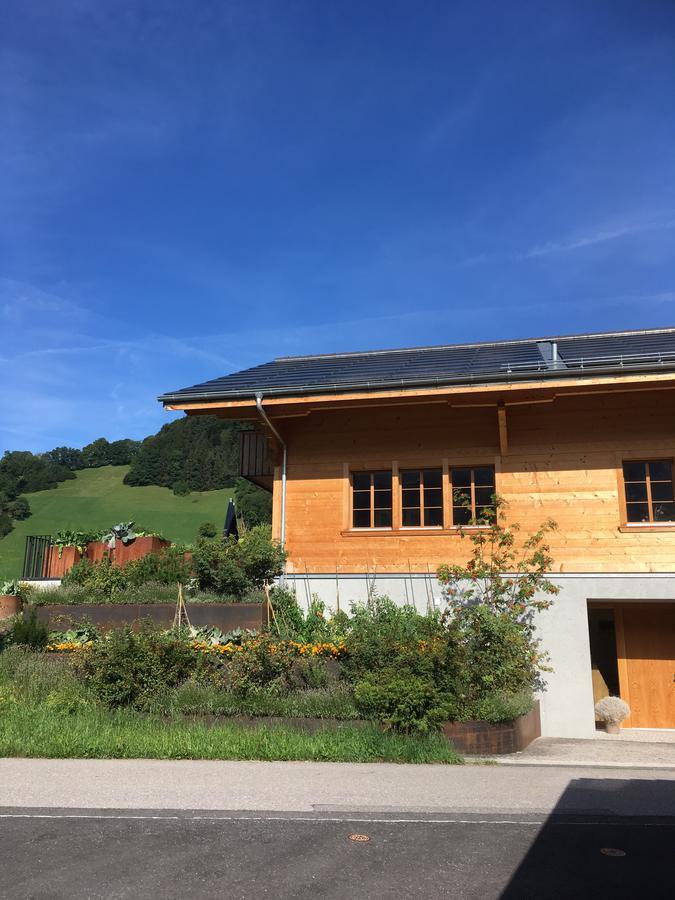 Chalet Park Apartment Mit Sauna Hamam Diemtigen Экстерьер фото